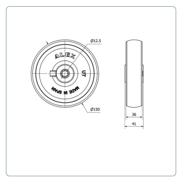 Nylon Wiel 150 mm - Asgatdiameter 12mm - Draagvermogen 300kg - Roller